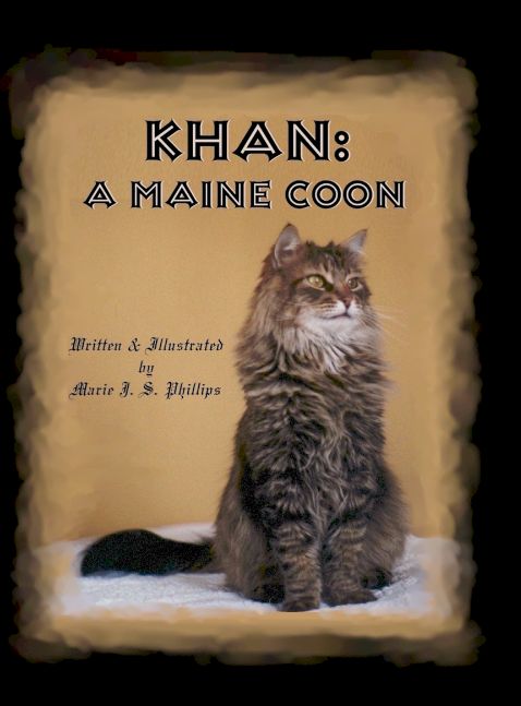 KHAN: A MAINE COON